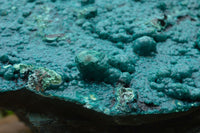 Natural Extra Large Chrysocolla Silica Botryoidal Specimen x 1 From Kulukuluku, Congo - TopRock