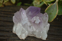 Natural Jacaranda Amethyst Clusters  x 6 From Mumbwa, Zambia - Toprock Gemstones and Minerals 