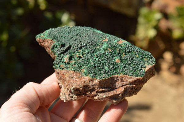 Natural Micro Botryoidal Malachite Specimens  x 5 From Congo - TopRock