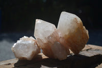 Natural Highly Selected Pineapple Candle Quartz Crystals  x 6 From Madagascar - Toprock Gemstones and Minerals 