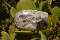 Polished Pink Tourmaline Rubellite Standing Free Forms  x 6 From Madagascar - TopRock