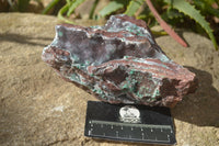 Natural Drusy Coated Ball Malachite On Dolomite Specimens  x 2 From Likasi, Congo