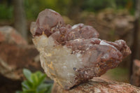 Natural Red Hematoid Quartz Specimens x 2 From Karoi, Zimbabwe - TopRock