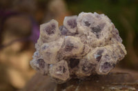 Natural Sugar Amethyst Clusters  x 4 From Solwezi, Zambia