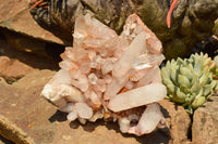 Natural Lovely Mixed Selection Of Quartz Clusters  x 4 From Madagascar - TopRock