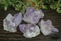 Natural Jacaranda Amethyst Clusters  x 4 From Zambia - Toprock Gemstones and Minerals 