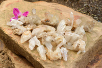 Natural Small Quartz Clusters  x 35 From Madagascar - TopRock