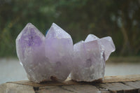 Natural Jacaranda Amethyst Clusters  x 6 From Mumbwa, Zambia - Toprock Gemstones and Minerals 