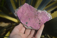 Natural Pink Salrose Cobaltion Dolomite Specimens  x 6 From Kakanda, Congo