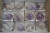 Natural Jacaranda Amethyst Quartz Clusters  x 12 From Zambia - Toprock Gemstones and Minerals 