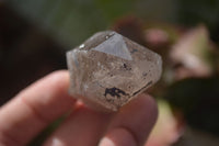 Natural Smokey Quartz Crystals x 12 From Malawi