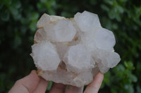 Natural White Spirit Quartz Clusters  x 2 From Boekenhouthoek, South Africa - Toprock Gemstones and Minerals 