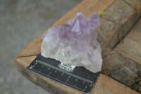 Natural Jacaranda Amethyst Clusters  x 6 From Mumbwa, Zambia - Toprock Gemstones and Minerals 