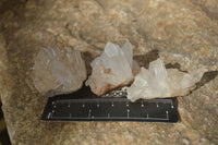 Natural Small Mixed Quartz Clusters  x 35 From Madagascar