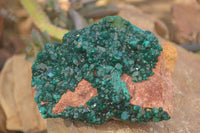 Natural Extra Large Emerald Dioptase Crystal Specimen  x 1 From Likasi, Congo