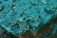 Natural Extra Large Chrysocolla Silica Botryoidal Specimen x 1 From Kulukuluku, Congo - TopRock