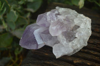 Natural Jacaranda Amethyst Clusters  x 4 From Zambia - Toprock Gemstones and Minerals 