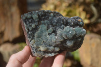 Natural Drusy Coated Ball Malachite On Dolomite Specimens  x 2 From Likasi, Congo