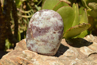 Polished Pink Tourmaline Rubellite Standing Free Forms  x 6 From Madagascar - TopRock