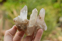 Natural Small Quartz Clusters  x 35 From Madagascar - TopRock