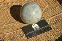 Polished Blue Spotted Spinel "Dalmatian Stone" Spheres x 2 From Madagascar - TopRock