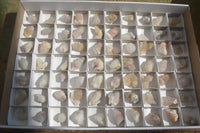 Natural Small Mixed Selection Of White Spirit Quartz Crystals  x 70 From Boekenhouthoek, South Africa - Toprock Gemstones and Minerals 