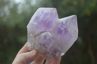 Natural Jacaranda Amethyst Clusters  x 6 From Mumbwa, Zambia - Toprock Gemstones and Minerals 