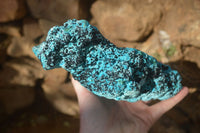 Natural Large Malacholla (Malachite & Chrysocolla) Specimen x 1 From Congo