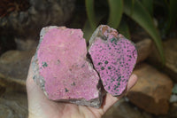 Natural Pink Salrose Cobaltion Dolomite Specimens  x 6 From Kakanda, Congo