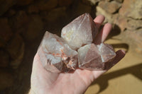 Natural Etched Hematoid Quartz Crystals  x 12 From Ambositra, Madagascar