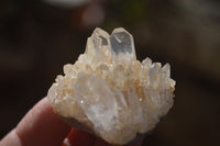 Natural Small Mixed Quartz Clusters  x 35 From Madagascar