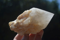 Natural Highly Selected Pineapple Candle Quartz Crystals  x 6 From Madagascar - Toprock Gemstones and Minerals 