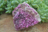 Natural Pink Salrose Cobaltion Dolomite Specimens With Ball Malachite  x 6 From Congo - Toprock Gemstones and Minerals 