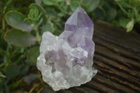 Natural Jacaranda Amethyst Clusters  x 4 From Zambia - Toprock Gemstones and Minerals 