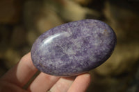 Polished Purple Lepidolite Free Forms  x 6 From Zimbabwe