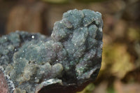 Natural Drusy Coated Ball Malachite On Dolomite Specimens  x 2 From Likasi, Congo