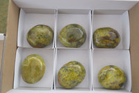 Polished Green Opal Free Forms  x 6 From Antsirabe, Madagascar - Toprock Gemstones and Minerals 