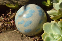 Polished Blue Spotted Spinel "Dalmatian Stone" Spheres x 2 From Madagascar - TopRock