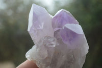 Natural Jacaranda Amethyst Clusters  x 6 From Mumbwa, Zambia - Toprock Gemstones and Minerals 