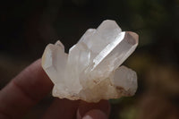 Natural Small Mixed Quartz Clusters  x 35 From Madagascar