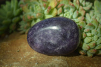 Polished Purple Lepidolite Free Forms  x 6 From Zimbabwe