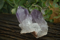 Natural Jacaranda Amethyst Clusters  x 4 From Zambia - Toprock Gemstones and Minerals 