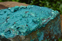 Natural Extra Large Chrysocolla Silica Botryoidal Specimen x 1 From Kulukuluku, Congo - TopRock