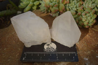 Natural Large Clear / White Quartz Crystals  x 12 From Madagascar