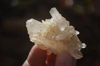 Natural Small Mixed Quartz Clusters  x 35 From Madagascar