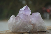 Natural Jacaranda Amethyst Clusters  x 6 From Mumbwa, Zambia - Toprock Gemstones and Minerals 