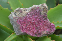 Natural Pink Salrose Cobaltion Dolomite Specimens With Ball Malachite  x 6 From Congo - Toprock Gemstones and Minerals 