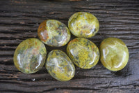 Polished Green Opal Free Forms  x 6 From Antsirabe, Madagascar - Toprock Gemstones and Minerals 