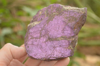 Natural Selected Rough Purpurite Specimens  x 6 From Uis, Namibia - TopRock