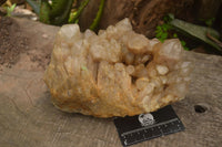 Natural Large Cascading White Phantom Smokey Quartz Cluster  x 1 From Luena, Congo - TopRock